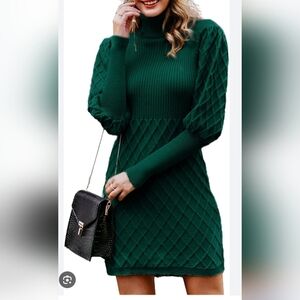 NWT/ Simple Emerald Long Sleeve Dress/ LARGE